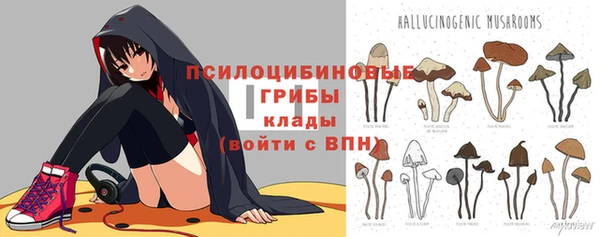 a pvp Горнозаводск