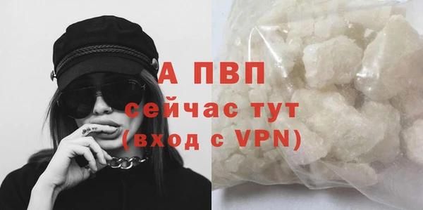марки lsd Горняк