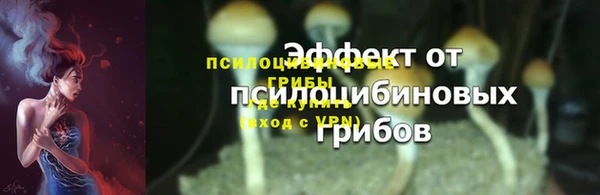 крисы Медвежьегорск