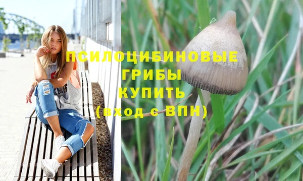 a pvp Горнозаводск