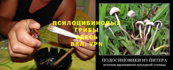 хмурый Горно-Алтайск