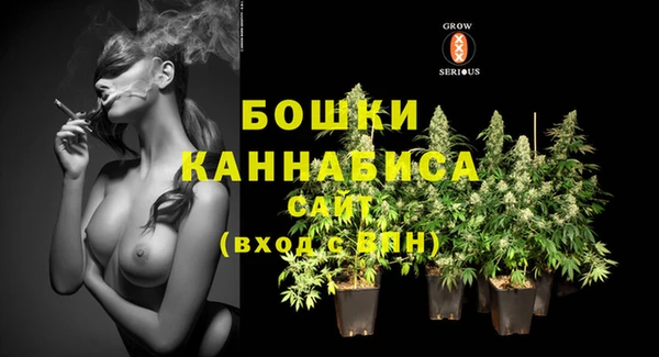 a pvp Горнозаводск